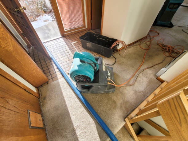 Best Water damage restoration cost  in Berkeley, MO
