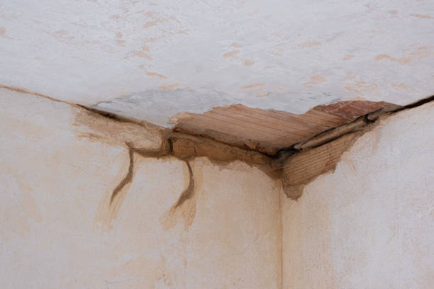 Best Flooded house restoration  in Berkeley, MO