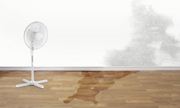 Trusted Berkeley, MO Water damage restoration Experts