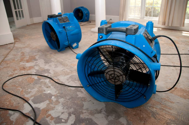 Best 24/7 water damage repair  in Berkeley, MO
