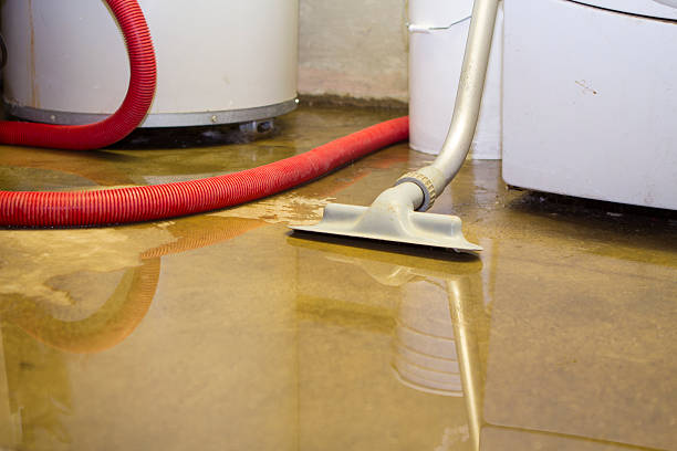 Best Water damage restoration near me  in Berkeley, MO