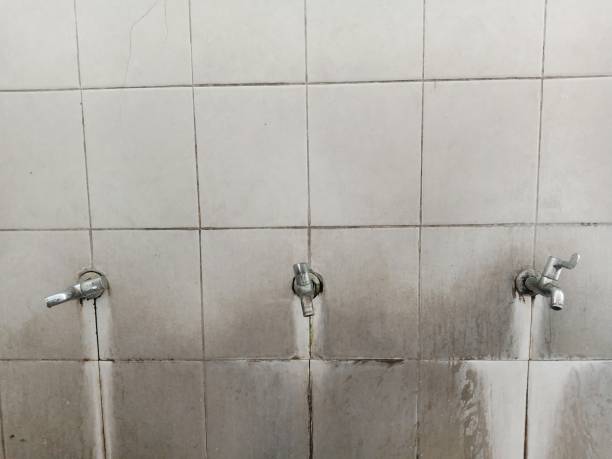 Best Professional water damage repair  in Berkeley, MO