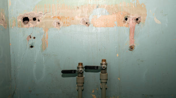 Best Water damage restoration process  in Berkeley, MO